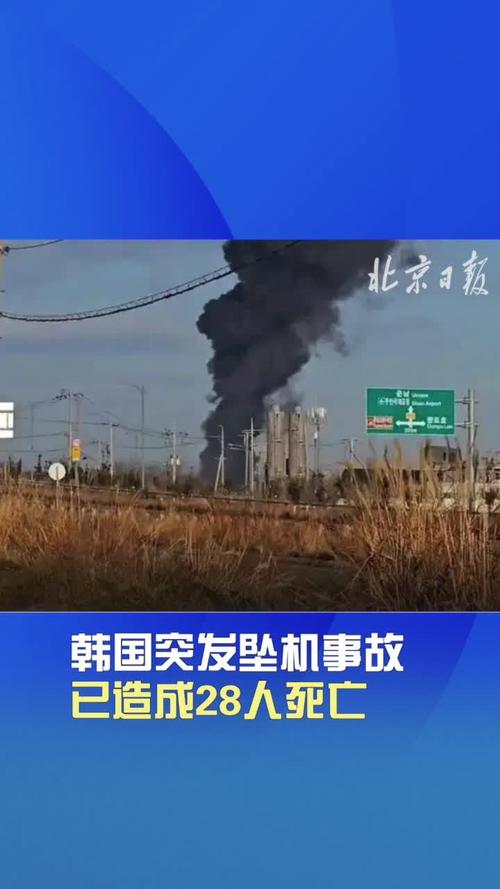 澳门开奖结果+开奖记录表生肖和韩国坠机致4人遇难与航班在韩国坠机