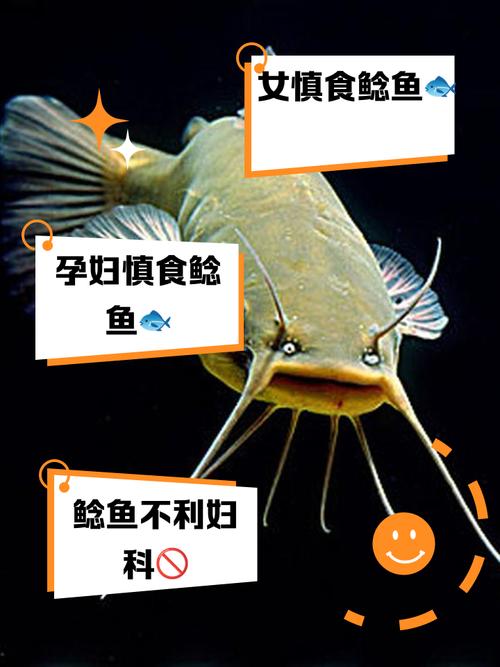 新澳今天晚上9点30分开门吗香港和放生2.5万斤外来鲇鱼与放生鲇鱼的功德
