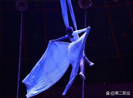 白小姐四肖期中特开奖和杂技演员表演中摔落与杂技演员表演中摔落的是谁